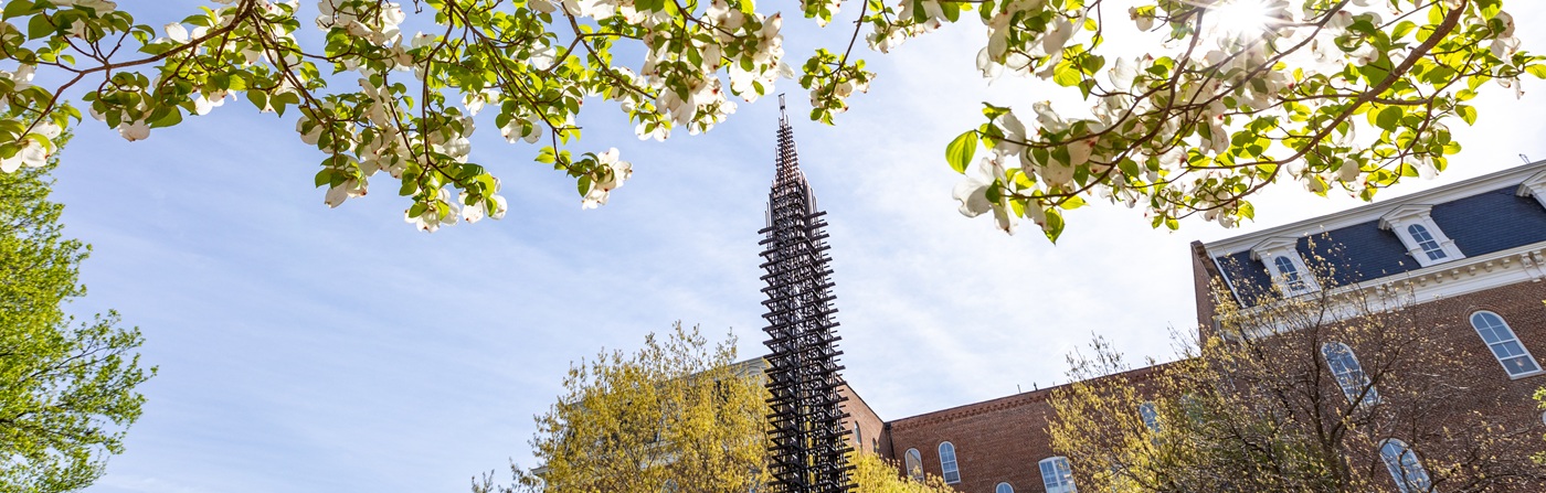 University of Arkansas campus