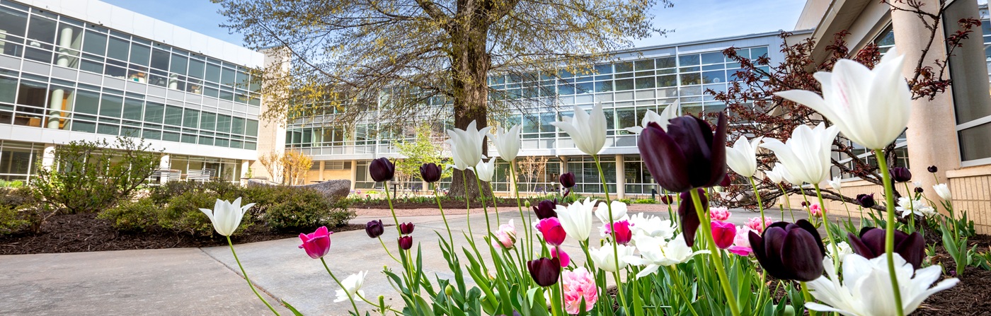 University of Arkansas Campus