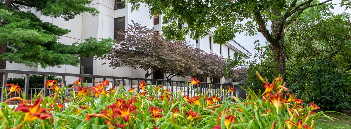 Mullins Library with flowers
